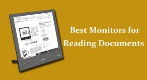 Best monitors for reading documents