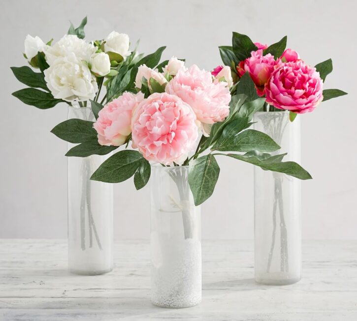 7 Best Flowers for Your Living Room Table - 2021 Guide 1