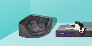 5 Tips For Choosing The Perfect Bed For Your Dog - 2022 Guide 8