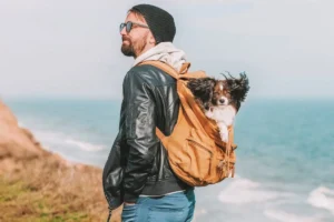 3 Best Puppy Backpack for Hiking - 2022 Guide 2