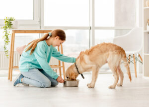Top 6 Healthiest Dog Treats According to Veterinarians 2022 1