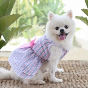 6 Best Dog Clothes for Small Dogs 2022 - Buying Guide 10